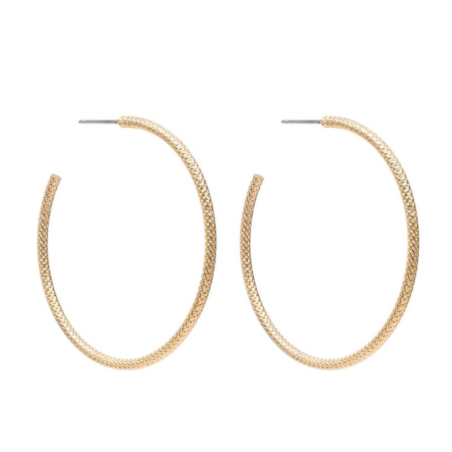 Earrings * | Deborah Grivas Matte Gold Plate Textured Wire Hoop Earrings